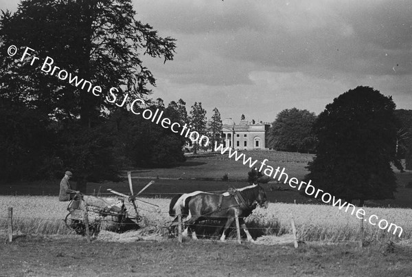 DISTANT VIEW OF HOUSE IN HARVEST TIME